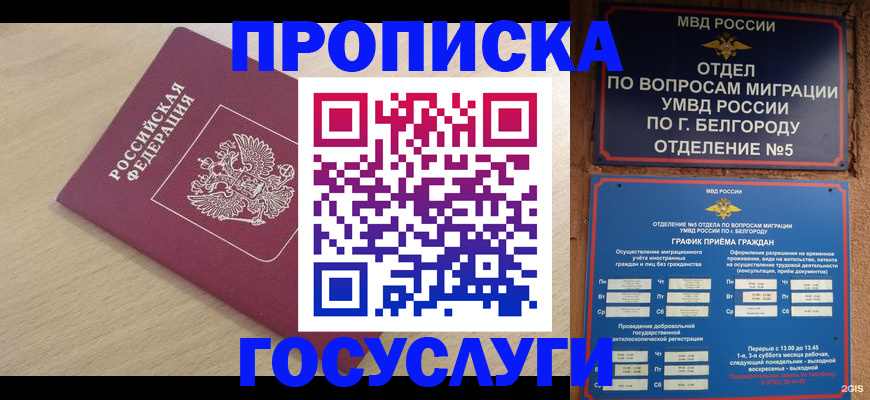 прописка законно в Алатыре